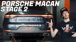 PORSCHE MACAN E GTI SÃO A MESMA COISA? VEJA OS GANHOS DO REMAP!