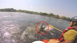 11 SCARY Crocodile Encounters in a Kayak You Should Avoid Watching