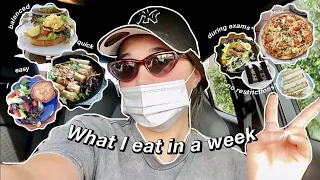 WHAT I EAT IN A WEEK I during exam prep SWOTVAC* ~