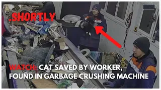 Watch: Cat saved by worker, Found in garbage crushing machine.