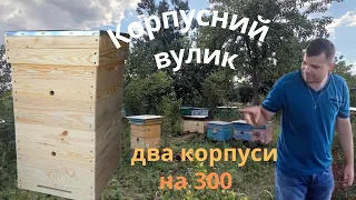 РОБОТА В КОРПУСНОМУ ВУЛИКУ. ЯК ПРАЦЮВАТИ В КОРПУСНОМУ ВУЛИКУ.10 РАМКОВИЙ ВУЛИК НА РАМКУ 300+ КОРПУС