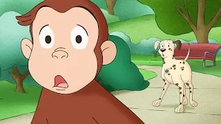 Curious George 🐵 Where's The Firedog 🐵Compilation🐵 HD 🐵 Videos For Kids