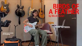 Billie Eilish - BIRDS OF A FEATHER (guitar loop cover)