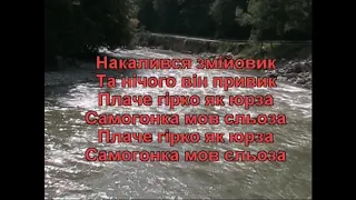 Самогон (Караоке) - Гулянка в Україні 1 частина друга