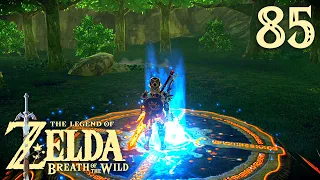 Пропавшая сфера ※ The Legend of Zelda: Breath of the Wild #85