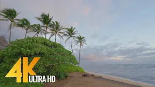 4K Sunrise at Maui Island - Relaxing Sound of Ocean Waves Crashing (3 HRS)