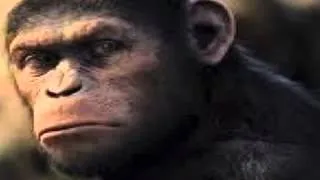 MTG Movie List: Rise of the Planet of the Apes