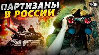 В России началась гражданская война - партизанское движение набирает обороты