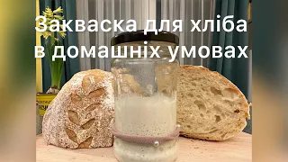 Найпростіший спосіб для вирощування закваски, без ваги, без викидання залишків, потрібний термометр