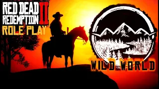 RDR 2  WildWorld RolePlay (RedM) ОБЗОР  R-Zone Game TV игры прохождение