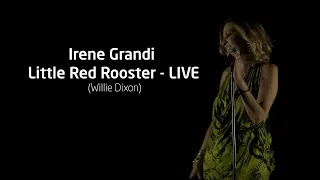 IRENE GRANDI - Little Red Rooster (Willie Dixon) LIVE