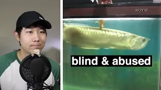 How to be a good pet owner (TikTok) | Fish Tank Review 93