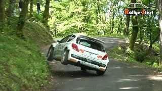 Best Of Rallye 2016 Crash & Mistakes [HD] - Rallye Start