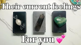 Their Current Thoughts and Feelings for You🔥❤️‍🔥💕Pick a Card Love Tarot Reading🔮