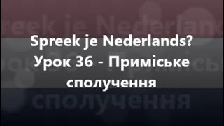 Нідерландська мова: Урок 36 - Приміське сполучення