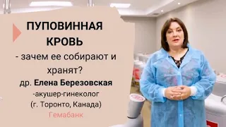 Пуповинная кровь - зачем ее собирают и хранят? Доктор Елена Березовская / Гемабанк