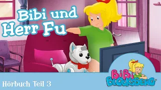 Bibi Blocksberg | Bibi und Herr Fu - 45 Minuten Entspannung!!! (Teil 3)