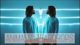 ANIMALS' TEARDROPS (Bring Me The Horizon & Architects Mashup Cover) feat. Nidram