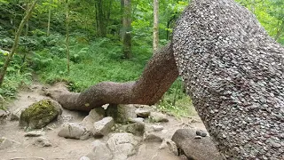 Ingleton Waterfalls Trail - England