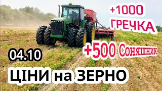 Ціни на зерно 04.10! Соняшник +500, гречка +1000, чому горох -? Соя, кукурудза та пшениця?