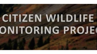 The Citizen Wildlife Monitoring Project