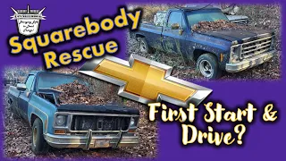 RESCUE - FIRST START - DRIVE? - 1979 Chevrolet C10 - Squarebody Round-up - Massive STORM DAMAGE