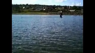 sandeels caught with home made net and trawl doors .