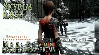 Skyrim s 853  Beyond Skyrim Bruma  Брума (начало: Два пути)