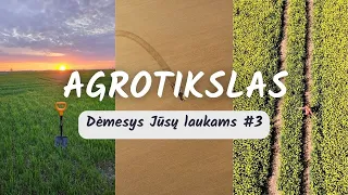 Dėmesys Jūsų laukams #3