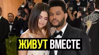 СЕЛЕНА ГОМЕС И THE WEEKND СТАЛИ ЖИТЬ ВМЕСТЕ