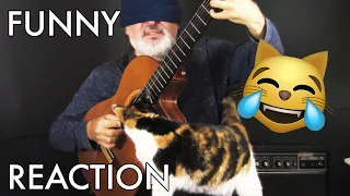 My Cat reacts to playing with blindfold - Cuban Dance - Кубинский Танец / на гитаре