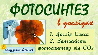 Фотосинтез в дослідах. Дослід Сакса та дослід з вуглекислим газом