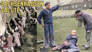 The Sachsenhausen Salute - WWII's Most BRUTAL Torture Method?