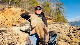 I Was Bank Fishing on the Tennessee River When I Hooked a BEAST