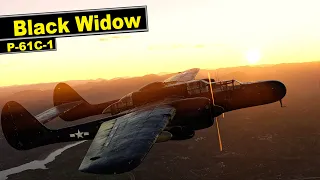 How is this plane even ALLOWED in War Thunder?  ▶️ P-61C-1 Black Widow