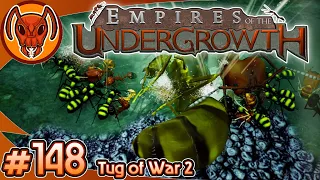 Tug of War 2! | Empires of the Undergrowth - Part 148