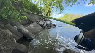 Another Big Brook Trout!! LEHIGH RIVER FISHING 5 / 1 / 2024