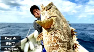 Ultra Giant Grouper in Okinawa Japan