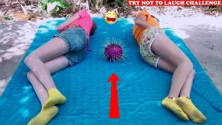 Try Not To Laugh 🤣 New Funny Videos 2020 - Episode 80 | Sun Wukong