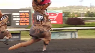 Dinosaurs take the track in viral T Rex races