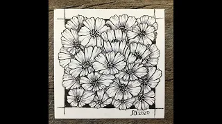 Easy zen doodle / botanical drawing - Cosmos Flowers - #inspiration  #relaxation #positivity