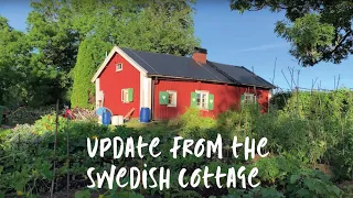 Swedish Cottage Update & Garden Tour