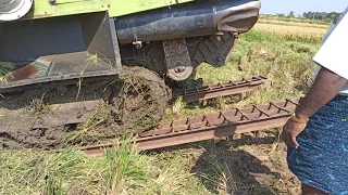 Claas crop Tiger harvester stuck in deep mud [tractor videos]