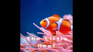 small original composition 12: The Little reef (for palentine's day)