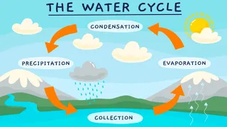 WATER CYCLE💧| The water cycle process | Easy science video