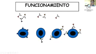 Citometria de flujo en veterinaria y citologia de linfonodo