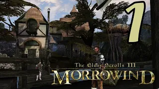 The Elder Scrolls III: Morrowind (1)- Мы уже приплыли в Морровинд