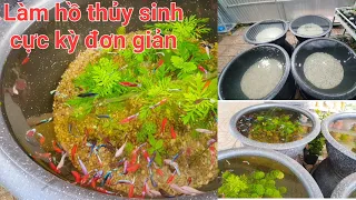 Làm hồ thủy sinh từ sình dễ làm mà không dùng phân nền mà rất đẹp.