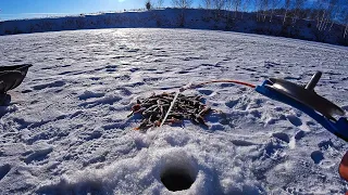 Нашёл лунку в которой вода кипит! Кивок так и гнётся. Рыбалка на мормышку 2023.