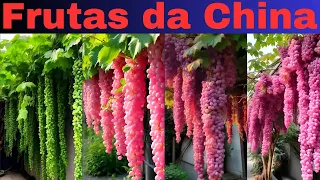 FRUTAS DE CHINA: ¡nunca has visto nada igual!